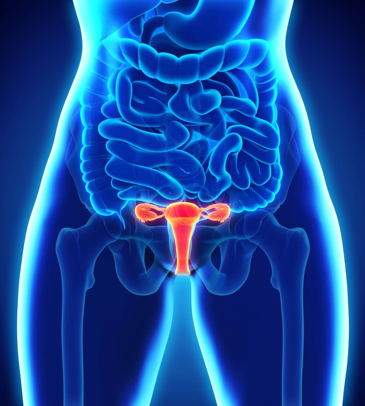 Eierstöcke (rechts, links) - Lage im weiblichen Körper 